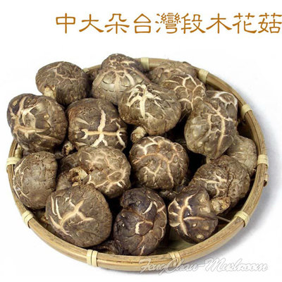 ~中大朵台灣段木花菇(一斤裝)~ 台灣仁愛鄉產最高級的花菇，保證無毒無農藥。【豐產香菇行】