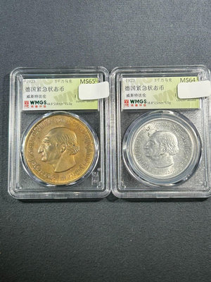 德國馬幣2枚一起，5000馬克銅鍍金一枚 鋁幣一枚 德國緊急