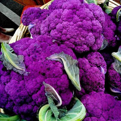 義大利西西里紫花椰菜種子(約100顆)