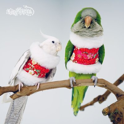 下殺-【寵愛一生】鸚鵡棉衣 保暖鸚鵡衣服 新年拜年鸚鵡衣服 旗袍鸚鵡衣服 飛行服 鳥兒衣服玄風和尚  鸚鵡變身裝 鳥類鸚