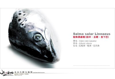 【水汕海物】北歐挪威 大西洋鮭魚 魚頭剖半處理(去鰓，含魚下巴)『實體店面、品質保證』