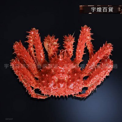 《宇煌》仿真帝王蟹食物模型訂做 假菜餚塑膠食物影視攝影道具菜_R142B