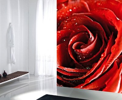 客製化壁貼 編號F-285 紅玫瑰花 壁紙 牆貼 牆紙 壁畫