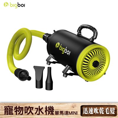 【bigboi】MINI 寵物單馬達吹水機  吹風機 乾燥吹風機 寵物吹毛  寵物美容 寵物吹水機 單馬達吹風機