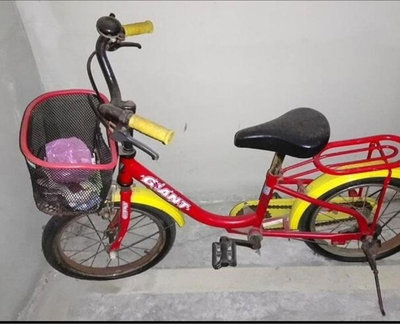 GIANT捷安特兒童腳踏車