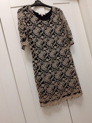 “秘密花園” 英國品牌 ASOS 蕾絲 七分袖 洋裝 復古  奢華 ZARA MANGO H&M INDEX