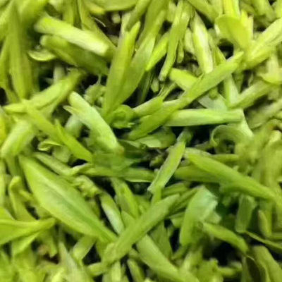 碧螺春頭春新茶，來自皖南綠茶主產區的特級綠茶——白龍溪香芽