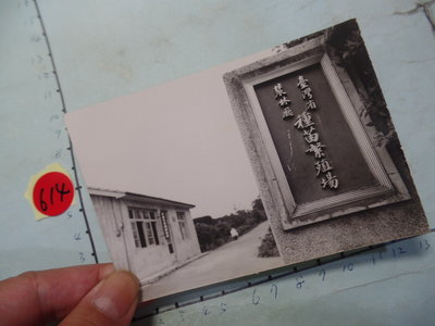 台灣 農林廳 種苗繁殖場,古董黑白,照片,相片