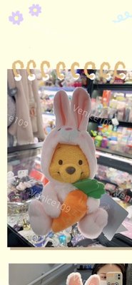 日本迪士尼store2023兔年維尼s號娃娃Venice維娜絲日本連線代購