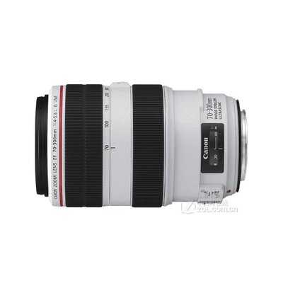 Canon/佳能 EF 70-300mm f/4-5.6L IS USM 鏡頭 遠攝紅圈胖白