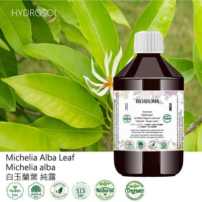 【芳香療網】Michelia Alba Leaf michelia alba 白玉蘭葉 純露 500ml