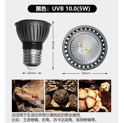 UVB  LED 110V 補鈣燈紫外線燈泡 D3 助吸收鈣粉爬蟲兩棲陸龜烏龜守宮蜥蜴多肉植物缺鈣曬背燈太陽燈