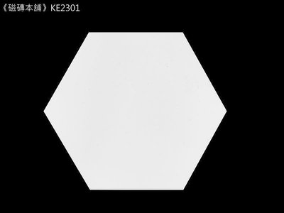 《磁磚本舖》西班牙進口 KE2301 純粹 白 六角磚 23*27cm 設計款 六角磚 幾何線條 玄關磚 純白六角磚