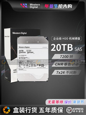 WD/西數HC560 WUH722020BL5204 20T SAS企業級氦氣伺服器硬碟20TB