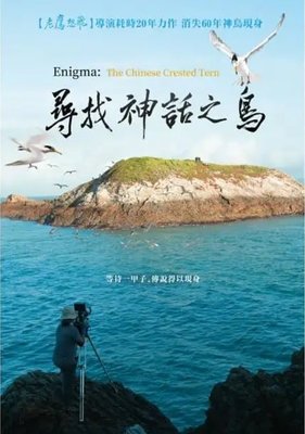 合友唱片 實體店面 尋找神話之鳥 Enigma:The Chinese Crested Tern DVD