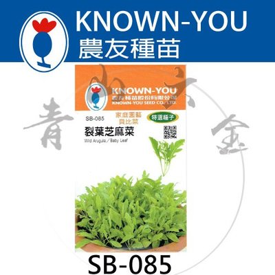 『青山六金 』附發票 農友 SB-085 裂葉 芝麻菜 蔬菜 新鮮 種子 混合色 家庭 園藝 栽培 種苗 約1.6克