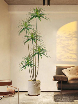 仿真綠植龍血樹室內高端輕奢大型客廳裝飾落地擺件仿真花假樹盆栽~推薦
