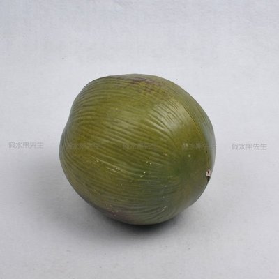 [MOLD-D231]仿真水果假水果熱帶水果 塑料模型 道具 客廳裝飾 仿真海南椰子