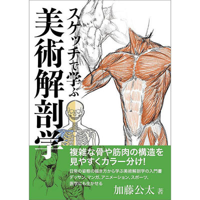 日本素描藝術解剖書 スケッチで學ぶ美術解剖學 加藤 公太