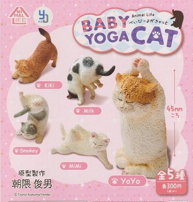 【奇蹟@蛋】Animal Life (轉蛋)貓瑜珈寶寶 全5種 整套販售   NO:5594