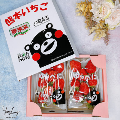 【Luxury】日本熊本草莓 智利櫻桃 口感多汁 日本草莓產地 高甜度 產地鮮採 細心挑選 當日空運直送 日本代購