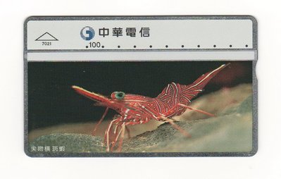中華電信100元公用電話卡 ~ 尖吻橫斑蝦, 全新未用.