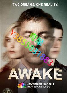 DVD 專賣店 異度覺醒第一季/Awake Season 1