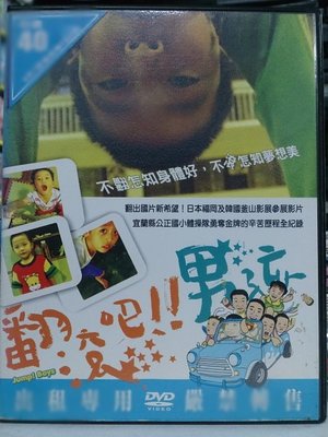 挖寶二手片-Y27-389-正版DVD-華語【翻滾吧!男孩】-優質國片，熱力推薦(直購價)