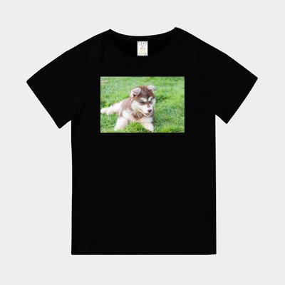 T365 MIT 親子 童裝 情侶 T恤 T-shirt 短T 狗 DOG 汪星人 哈士奇 二哈 Husky 毛孩