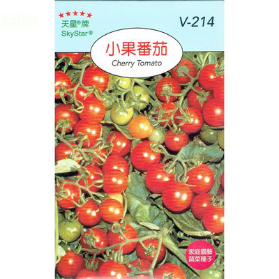 種子王國 小果番茄 【蔬果種子】 天星牌 彩色包裝 原包裝種子 家庭園藝 小包裝種子