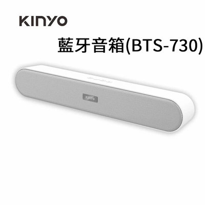 KINYO耐嘉 BTS-730 藍牙音箱 藍芽 藍牙喇叭 Bluetooth 插卡式 音響 免持通話 揚聲器 無線喇叭