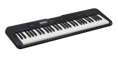 【河堤樂器】全新 卡西歐 CASIO CTS300 （原CTK-3500） 61鍵電子琴 附贈台製琴袋 踏板