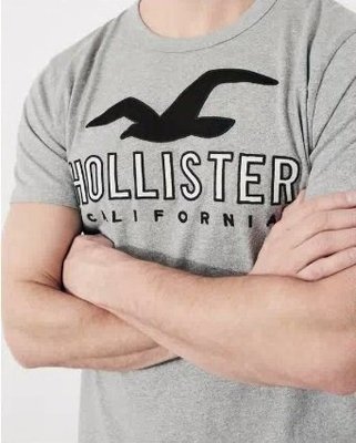 HCO Hollister 海鷗 短袖 T恤 現貨 貼布刺繡logo 淺灰