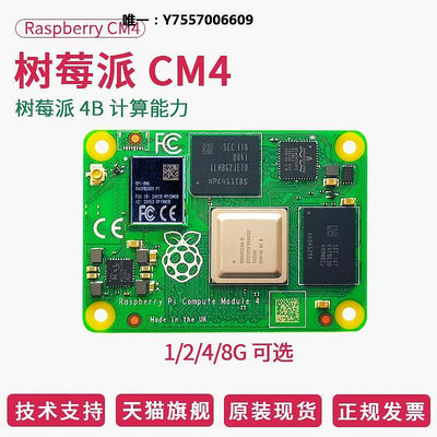 開發板樹莓派CM4 核心板開發板計算模塊 Raspberry Pi Compute module 4主控板