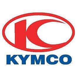 KYMCO 原廠 MANY MANY125 魅力125 後照鏡 後視鏡 手鏡 車鏡