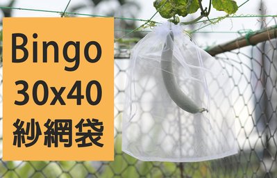 現貨「Bingo」30X40 雙拉繩紗網袋、雪紗婚禮小物袋（菜瓜、絲瓜、苦瓜、南瓜）
