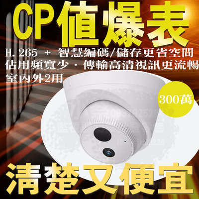 小蔡監視器材-網路攝影機300萬畫素紅外線 高解析戶外IP網路攝影機 IP CAMERA