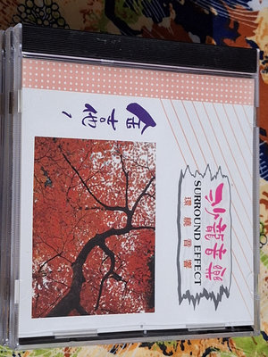 R華語團(二手CD)沙龍音樂舞曲環繞音響1金吉他~無IFPI