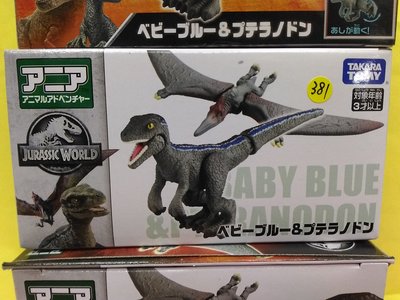 {育聖}AN13381 baby blue &無齒異龍  多美動物 TAKARA 侏羅紀世界 探索動物 恐龍