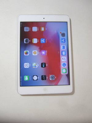 iPad mini 2 16G A1489 平板(ios 12.5)