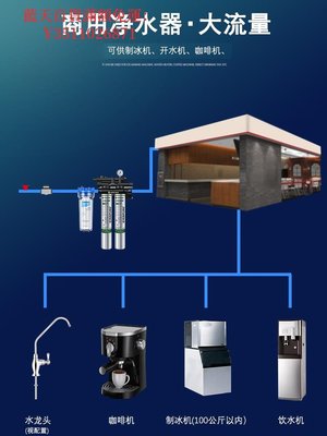 藍天百貨愛惠浦MC2雙聯凈水器 商用奶茶咖啡店專用大流量復合直飲水機過濾