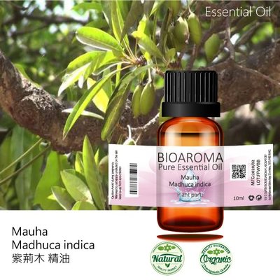 【芳香療網】Mauha - Madhuca indica 紫荊木精油 10ml