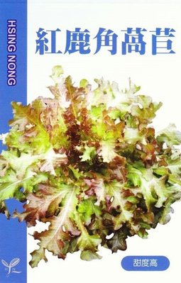 紅鹿角萵苣【蔬果種子】興農牌 中包裝種子 約2公克/包