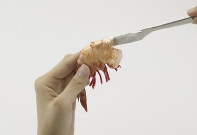 一鑫餐具【日本製 KAI 貝印 蝦子料理刀 DH-2255】蝦腸刀蝦刀