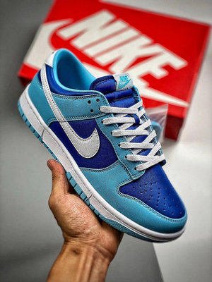 Nike Dunk SB Low Pro 復古 DM0121-40