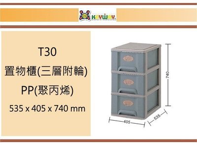 (即急集) 此款免運不含偏遠 聯府 T30 置物櫃(三層附輪) 台灣製