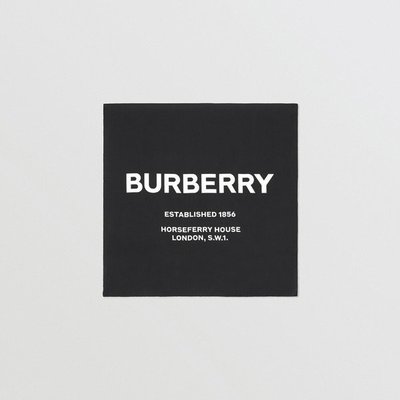 英國代購 Burberry 絲巾 80093981