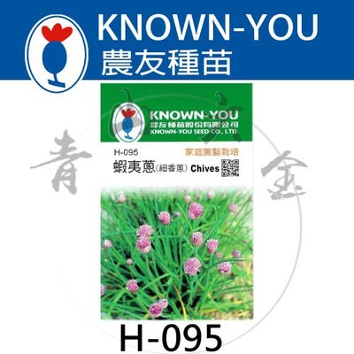 『青山六金 』附發票 農友 H-095 蝦夷蔥 細香蔥 新鮮 種子 混合色 花卉 家庭 園藝 栽培 種苗 約200粒