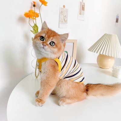貓咪衣服貓咪衣服夏季薄款可愛貓貓小貓幼貓衣服寵物背心吊帶布偶藍貓夏裝