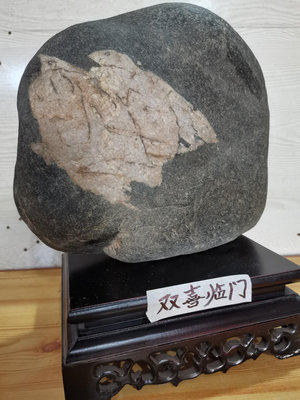 黃河奇石《雙喜臨門》保純天然原石，兩個喜雀非常逼真，石頭圓滿4590